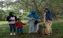 Melihat Kelucuan Monyet Ekor Panjang di Area Makam Keramat Solear - GenPI.co Banten