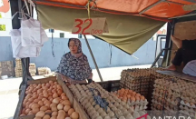 Harga Telur Ayam di Kota Cilegon Naik Jadi Rp 34 Ribu Per Kilogram - GenPI.co Banten