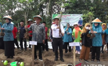 Pemprov Banten Luncurkan Gerakan Tanam Sejuta Pohon Kelor - GenPI.co Banten