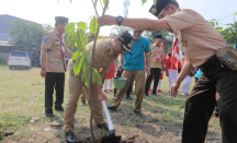Tekan Polusi Udara, 6.150 Pohon Ditanam di Kota Tangerang - GenPI.co Banten