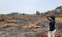 Kebakaran Lahan Gambut di Tangerang Berhasil Dipadamkan - GenPI.co Banten