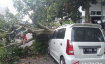 Sebuah Mobil Tertimpa Pohon Besar di Bogor, Begini Nasibnya - GenPI.co Jabar