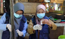 Pemkot Cirebon Cari Bahan Berbahaya di Pasar, Hasilnya Ternyata - GenPI.co Jabar