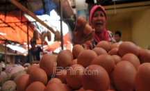 Warga Depok Pusing Harga Telur Ayam To The Moon - GenPI.co Jabar