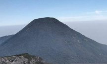 Muncul Ratakan, Pendakian Gunung Gede-Pangrango Ditutup Sementara - GenPI.co Jabar