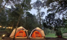 Hejo Forest, Rekomendasi Wisata di Bandung yang Wajib Kamu Kunjungi - GenPI.co Jabar