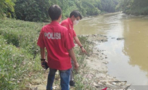Mencurigakan, Ribuan Ikan di Sungai Cileungsi Mati - GenPI.co Jabar
