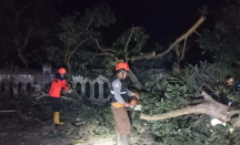 Angin Kencang Terjang Sukabumi, Sejumlah Pohon Bertumbangan - GenPI.co Jabar