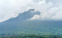 Waduh! 50 Hektare Taman Nasional Gunung Merapi Rusak - GenPI.co Jateng
