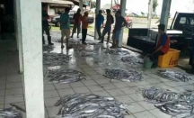 Waduh, Siklon Tropis Bikin Tangkapan Ikan Nelayan Cilacap Menurun - GenPI.co Jateng