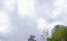 Duh! Hujan Deras dan Angin Bikin Wilayah di Karanganyar Longsor - GenPI.co Jateng