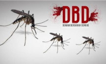 Simak! Ini 3 Fase Demam Berdarah Dengue yang Tak Boleh Diabaikan - GenPI.co Jateng