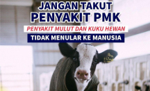 Tim Gabungan Boyolali Pantau Pasar Hewan, 15 Ternak Demam - GenPI.co Jateng
