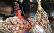 Harga Telur Ayam Meroket, Ekonom UMS Beberkan Penyebabnya - GenPI.co Jateng