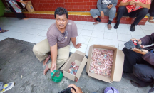 Nyesek Pol! Disimpan di Celengan Plastik, Uang Tabungan Haji Milik Penjaga Sekolah di Solo Rusak Dimakan Rayap - GenPI.co Jateng