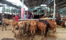 Kabar Baik! 5 Pasar Hewan di Boyolali Kembali Dibuka - GenPI.co Jateng