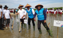 Cegah Abrasi, 100.000 Bibit Mangrove Ditanam di Wisata Jembatan Merah Rembang - GenPI.co Jateng