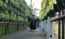 Program BRInita Sukses Jadikan Kelurahan Padjajaran Bandung Jadi Percontohan Urban Farming - GenPI.co Jateng