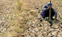 Waspada El Nino, BPBD Malang Catat 9 Kecamatan Rawan Kekeringan - GenPI.co Jatim