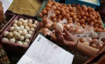 Harga Telur Ayam di Kota Malang Tembus Rp 33.000, Pedagang Pasrah - GenPI.co Jatim