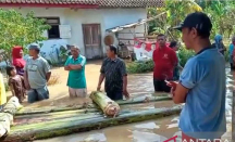 Banjir Melanda Jember, 6 Lokasi Terdampak Banjir - GenPI.co Jatim