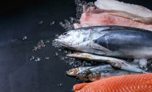 3 Cara Memilih Ikan Segar, Simak Baik-Baik - GenPI.co Jatim