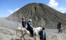 Penjelasan TNBTS Terkait Wisatawan Gunung Bromo Dipalak Ojek Kuda - GenPI.co Jatim