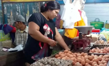 Harga Telur Ayam di Jember Belum Stabil, Pedagang Pusing - GenPI.co Jatim