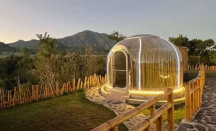 Maron Valley, Rekomendasi Hotel di Malang Berkonsep Glamping Unik - GenPI.co Jatim