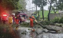 Cuaca Ekstrem di Malang Sebabkan Banjir Hingga Pohon Tumbang - GenPI.co Jatim