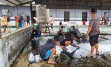38 Orang Kedapatan Pesta Miras di Surabaya, Diberi Sanksi Sosial - GenPI.co Jatim
