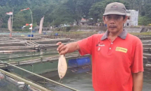 Ribuan Ikan di Telaga Ngebel Ponorogo Mati, Kerugian Capai Puluhan Juta - GenPI.co Jatim