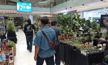 Meriahnya Exotic Plants Surabaya, Grand City Mall Mendadak Hijau - GenPI.co Jatim