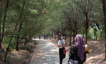 Hutan Mangrove Wonorejo Surabaya, Cocok untuk Lepas Penat - GenPI.co Jatim