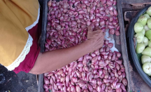 Pedagang Bawang Merah Kurangi Pasokan, Imbas Kenaikan Harga - GenPI.co Jatim