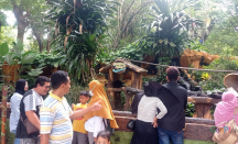 Kebun Binatang Surabaya Hadirkan Program Baru Sambut Nataru - GenPI.co Jatim