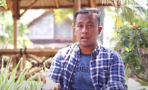 Inspiratif! Pemuda Asal Gunungkidul Sukses Bertani Aloe Vera - GenPI.co Jogja