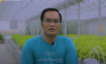 Berkat Ketekunan, Pria di Sleman Ini Sukses Bertani Hidroponik - GenPI.co Jogja