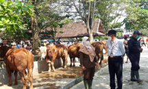 8 Sapi Positif PMK di Sleman Dipotong, Boleh Dikonsumsi - GenPI.co Jogja