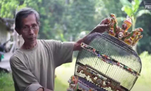 Belajar Spontan, Pria di Sleman Ini Sukses Bisnis Sangkar Burung - GenPI.co Jogja