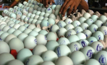 3 Risiko Kebanyakan Makan Telur Asin bagi Kesehatan, Bahaya - GenPI.co Jogja