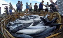 Kulon Progo Catat Produksi Ikan Tangkap Baru Capai 1.331 Ton - GenPI.co Jogja