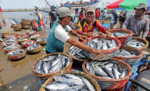 Yogyakarta Patok Target 7 Ribu Ton Produksi Ikan pada 2023 - GenPI.co Jogja