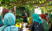Mudahkan Pemasaran Produk, Begini Strategi Petani di Kota Yogyakarta - GenPI.co Jogja
