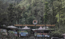 TNGM Tingkatkan Pemantauan Waspadai Kebakaran Hutan Gunung Merapi - GenPI.co Jogja