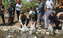 Kulon Progo Gelar Jaga Kaliku untuk Tingkatkan Stok Ikan Sebagai Sumber Ekonomi - GenPI.co Jogja