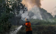 Warga Diimbau Waspada Potensi Kebakaran pada Puncak El Nino di Yogyakarta - GenPI.co Jogja