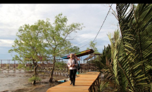 Belajar dan Pelesiran di Destinasi Wisata Mangrove Sungai Kupah - GenPI.co Kalbar
