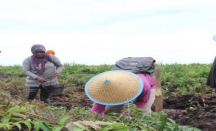 Kubu Raya Prioritaskan Pembangunan Berbasis Pedesaan - GenPI.co Kalbar