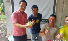 Durian-Langsat Kubu Raya Jadi Jaminan Mutu bagi Konsumen - GenPI.co Kalbar